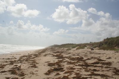 BV-67 View to the South