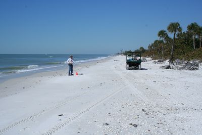 CR-24 View to the North